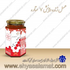 عسل زنده دانش (7 ستاره یک کیلویی)